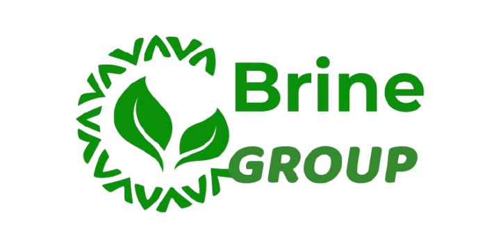 brinegroups.com
